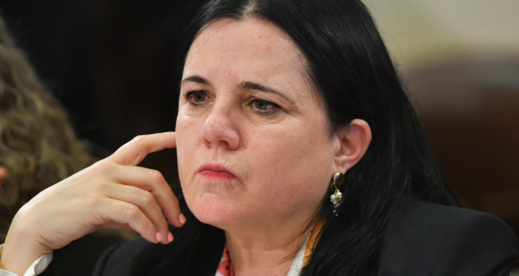 Oposición desiste de interpelación a Steinert tras su salida del Ministerio de Seguridad
