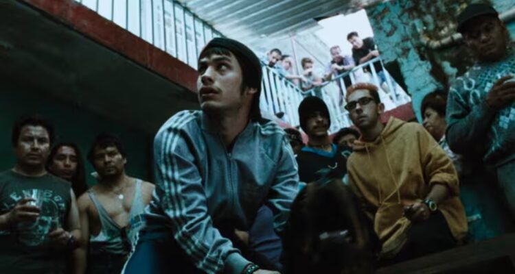 Amores Perros