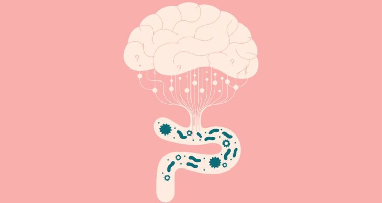 ¿Tienes problemas de concentración? La causa puede estar en tu intestino, pero no siempre