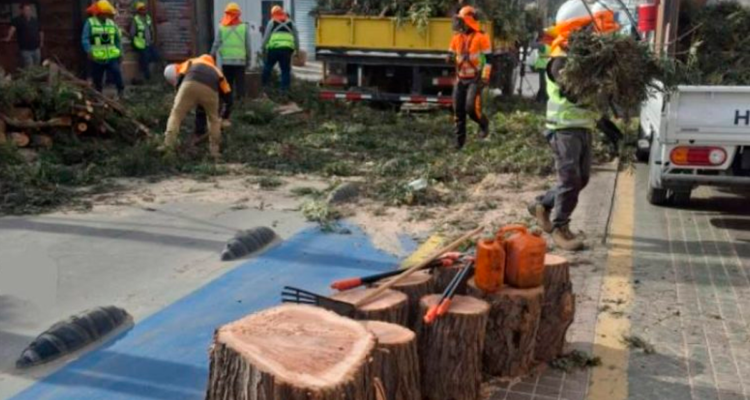 Declaran inadmisible recurso de la Municipalidad de Copiapó contra CGE por tala de árboles