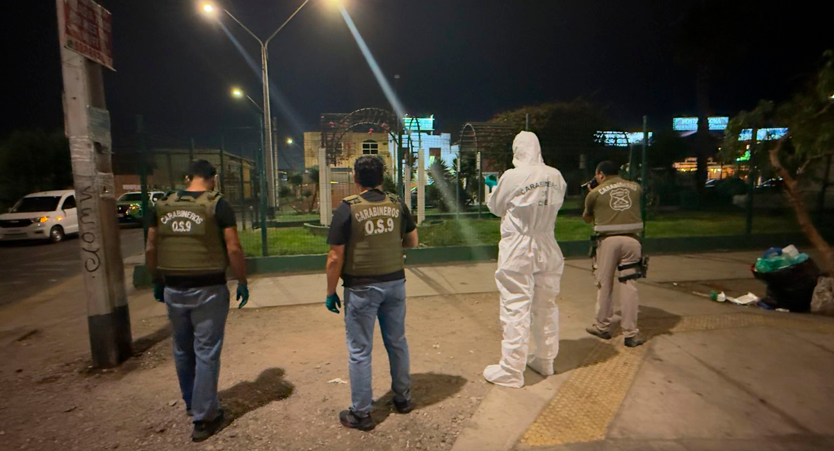 Arica al Día