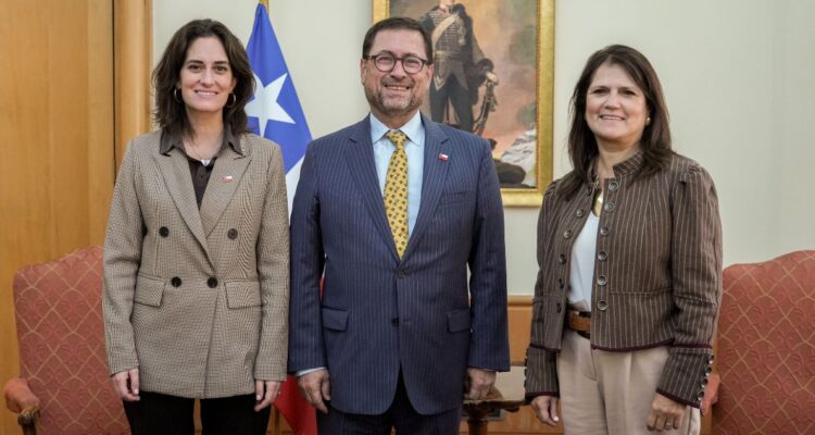 Gobierno impulsa candidatura de académica chilena al Comité de los Derechos del Niño de la ONU
