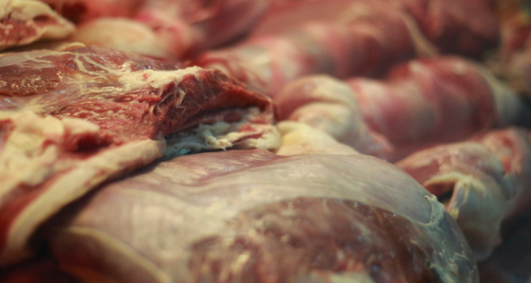 Aumento entre enero y abril: exportaciones de carne bovina de la región de Los Lagos siguen al alza