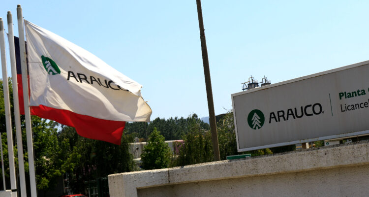 Arauco y trabas para invertir: En lo que demora un permiso en Chile, en Brasil levantamos 3 proyectos