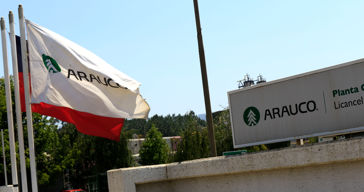 Arauco y trabas para invertir: En lo que demora un permiso en Chile, en Brasil levantamos 3 proyectos