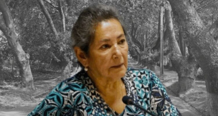 Fiscalía confirma que patente encontrada en río Loncomilla es de vehículo de concejala desaparecida