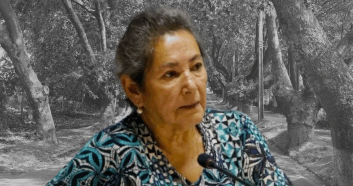 Fiscalía confirma que patente encontrada en río Loncomilla es de vehículo de concejala desaparecida