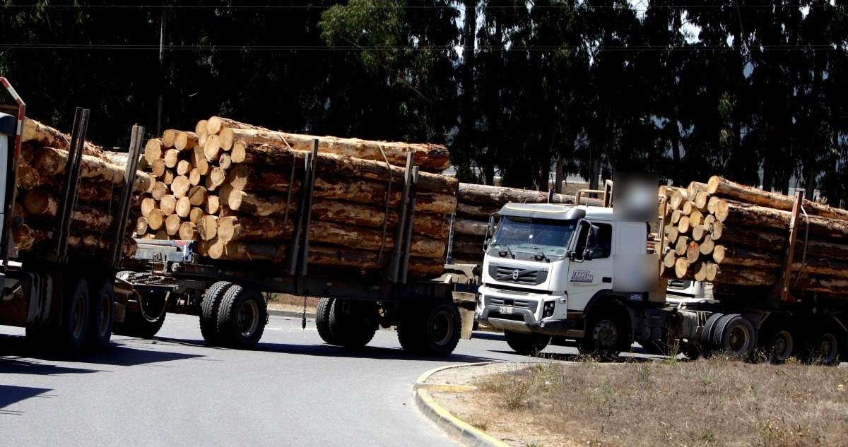 Conductores forestales, coordinación seguridad