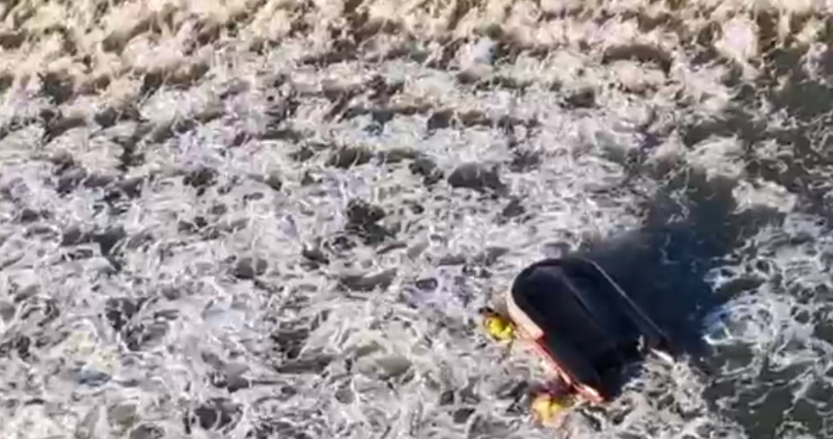 Captura de video