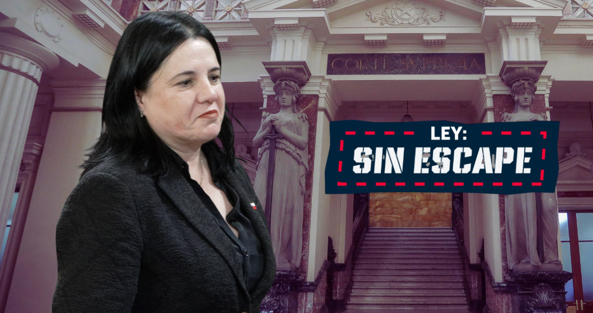 Corte Suprema hace reparos a la “Ley Sin Escape” de Steinert: advierte descoordinación normativa