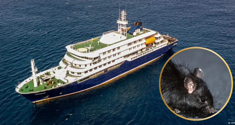 Cabo Verde niega ingreso y desembarco de crucero por presunto brote de Hantavirus que deja 3 muertos