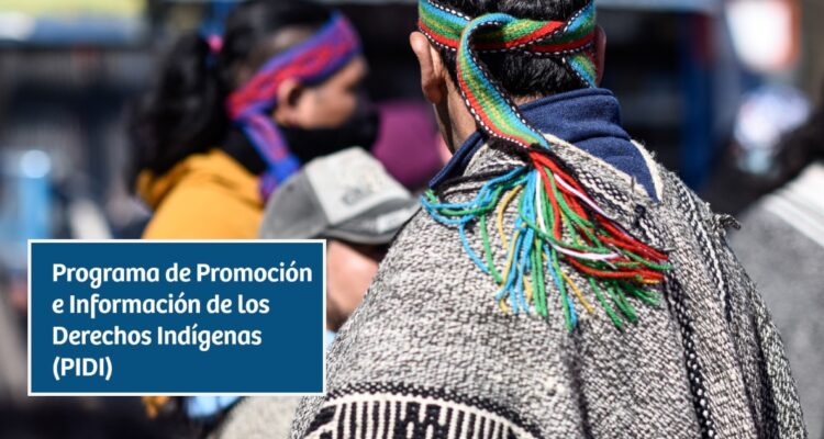 Gobierno despide a 15 funcionarios de programa de Promoción de Derechos Indígenas en La Araucanía