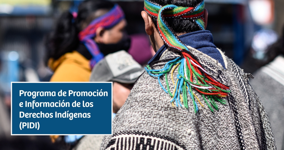 Despidos de programa de promoción de derechos indígenas