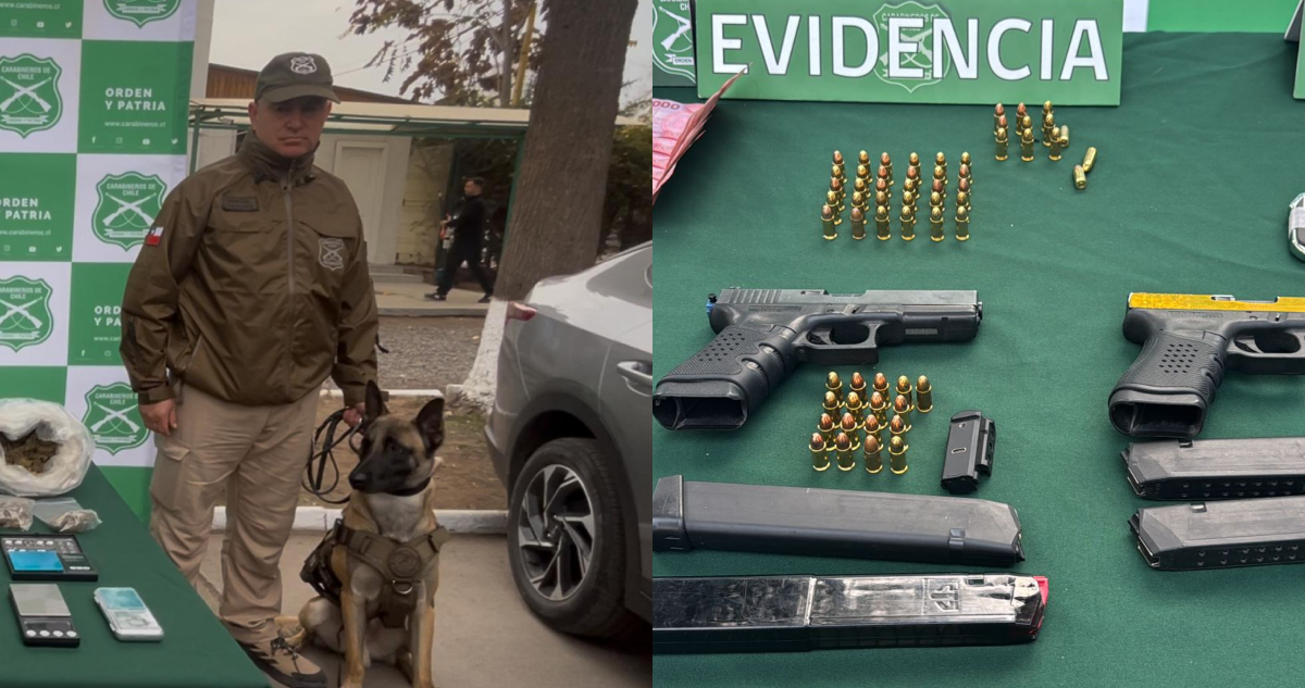 Detienen a líderes de banda narco en San Miguel e incautan armas con apoyo de perro “detecta balas”