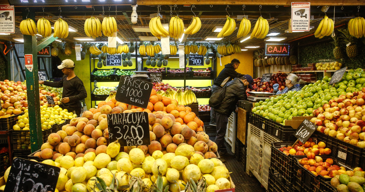 Senadores PS impulsan reforma para devolver IVA de alimentos y medicamentos a familias vulnerables