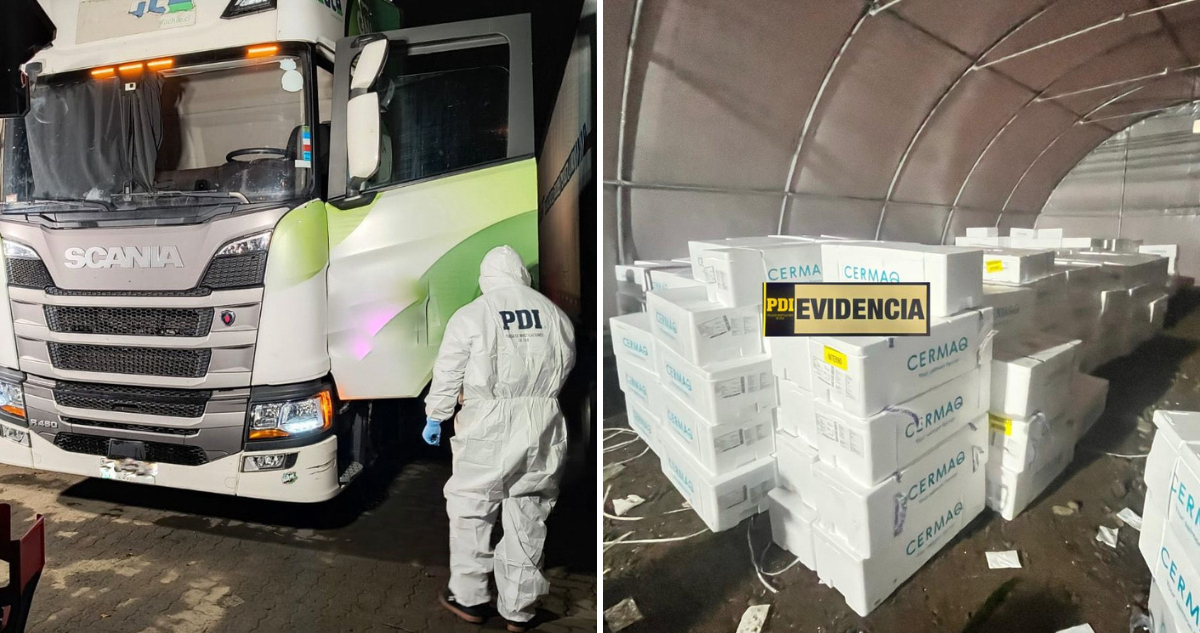 Detienen a hombre por robo de millonario cargamento de salmón en Osorno: buscan a otros involucrados