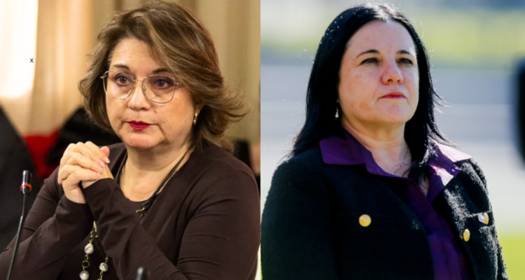 Diputada Andrea Parra (PPD) acusa que Gobierno capitaliza operativo en Temucuicui y tilda de débil a Steinert