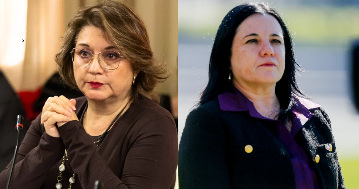 Diputada Andrea Parra (PPD) acusa que Gobierno capitaliza operativo en Temucuicui y tilda de débil a Steinert