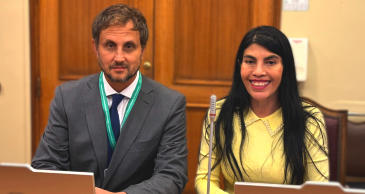 Ministra Lincolao confirma que hubo “diferencias de gestión y visión” con renunciado Rafael Araos