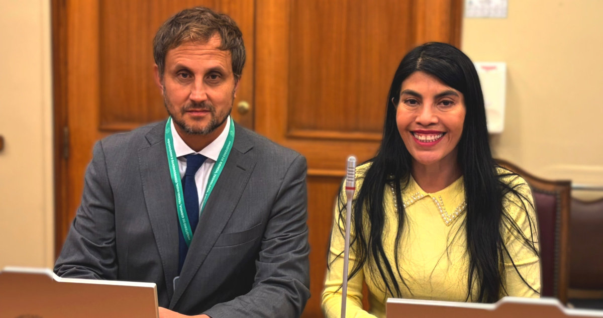 Ministra Lincolao confirma que hubo “diferencias de gestión y visión” con renunciado Rafael Araos