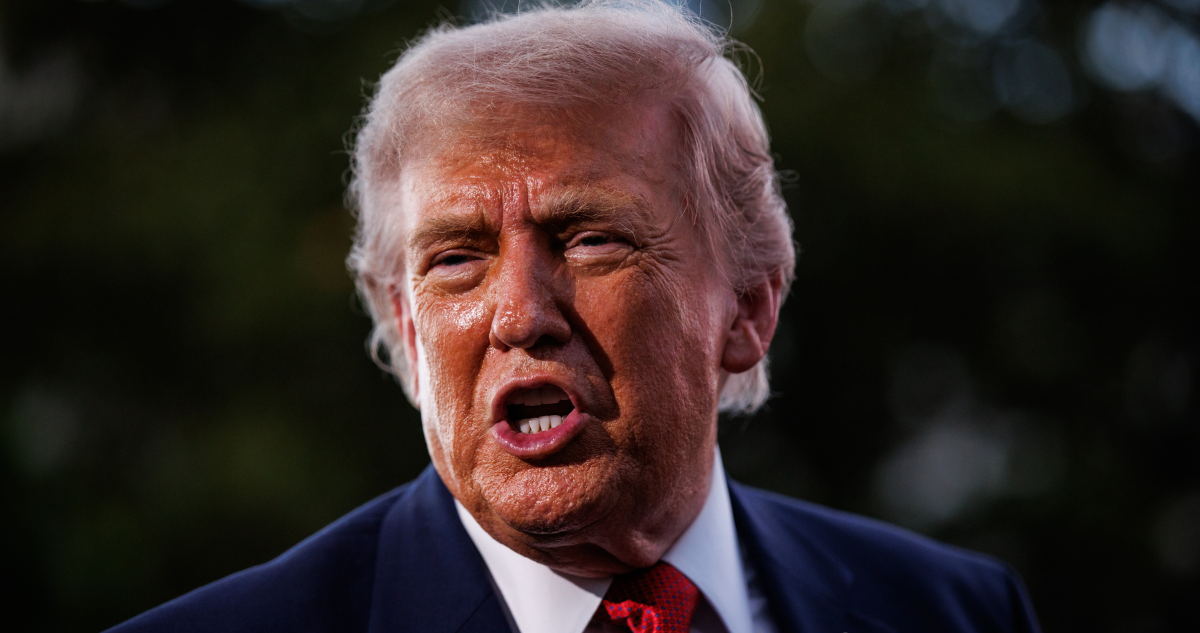 FOTOS | Búfalo albino de Bangladesh se vuelve viral por su parecido a Donald Trump