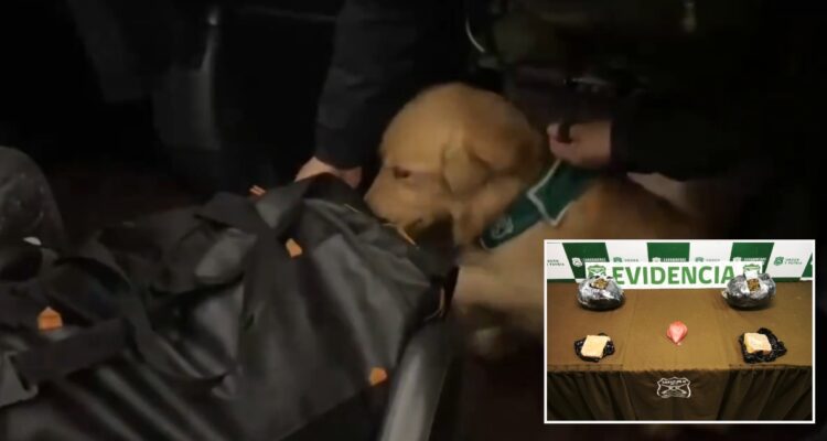 Droga y cocaína en bus con destino a Cañete