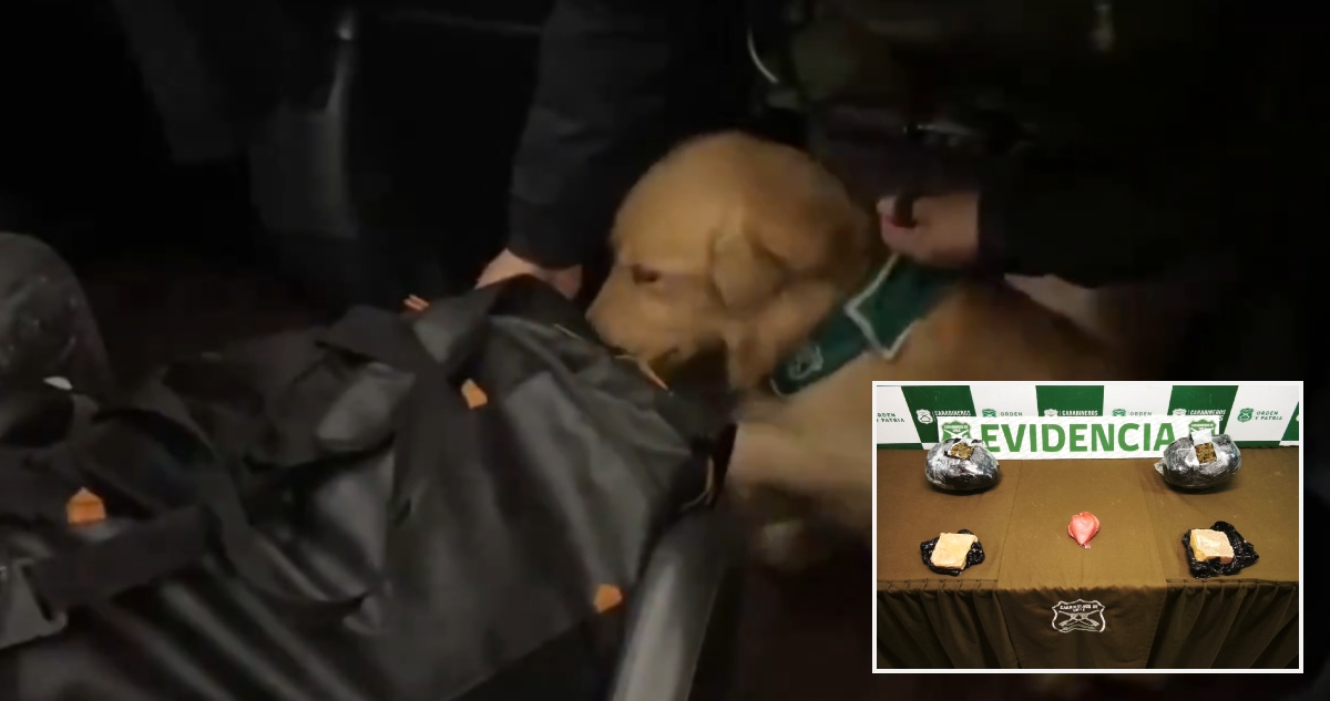 Droga y cocaína en bus con destino a Cañete