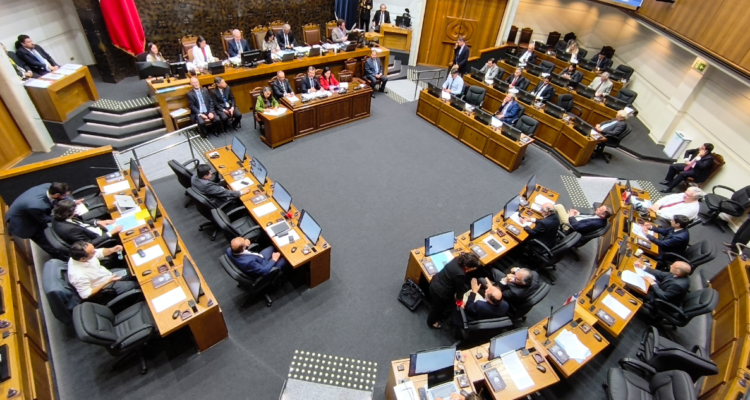 Escuelas Protegidas inicia tramite en Senado con alta demanda de audiencias y sin acuerdo de votación