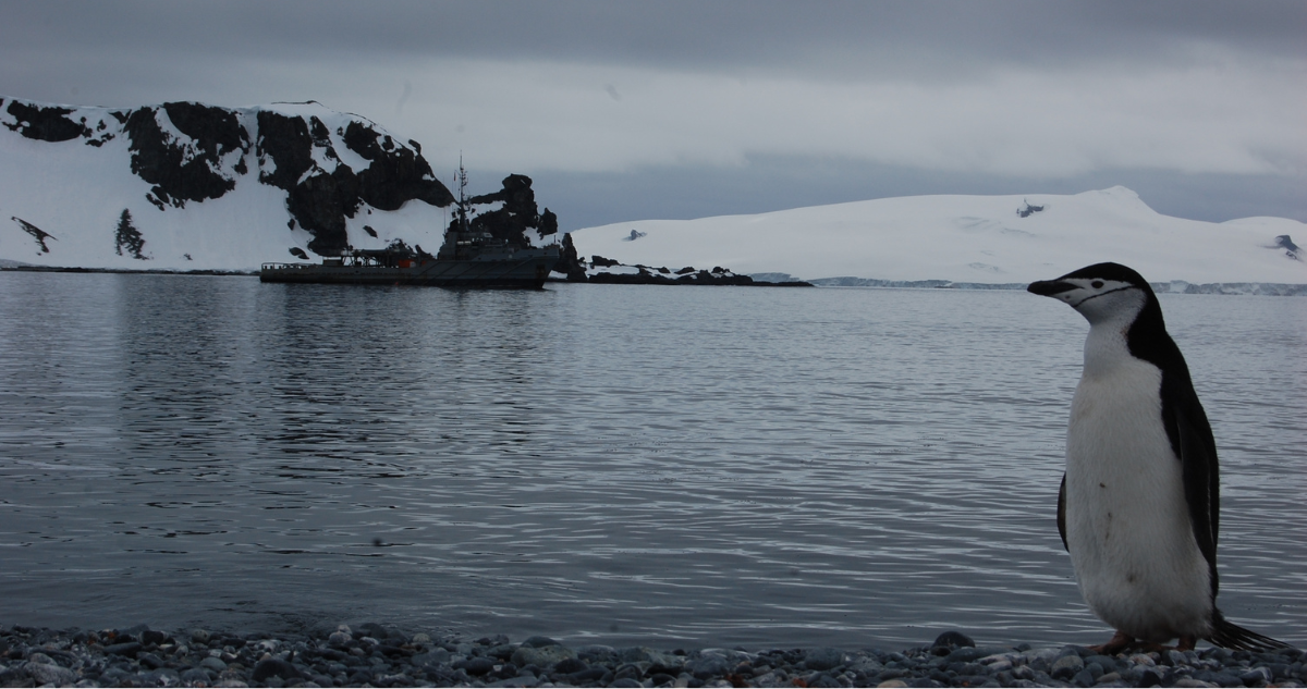 Antártica chilena