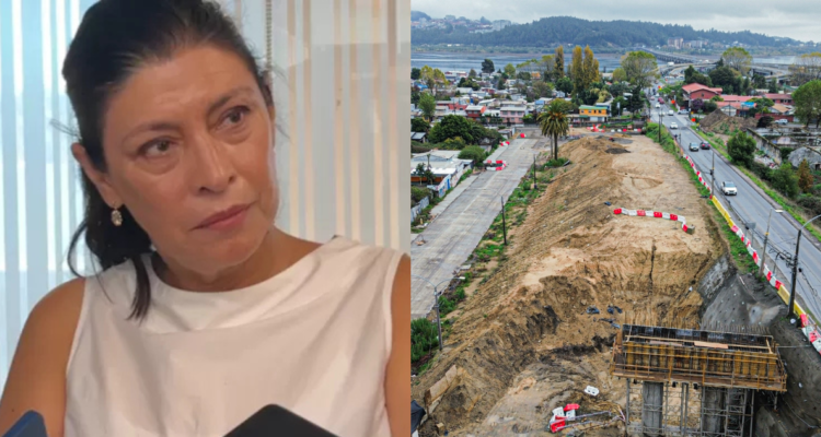 Exdirectora del Serviu en el Bío Bío sugiere dar continuidad a obras de Tapusa con licitación pública