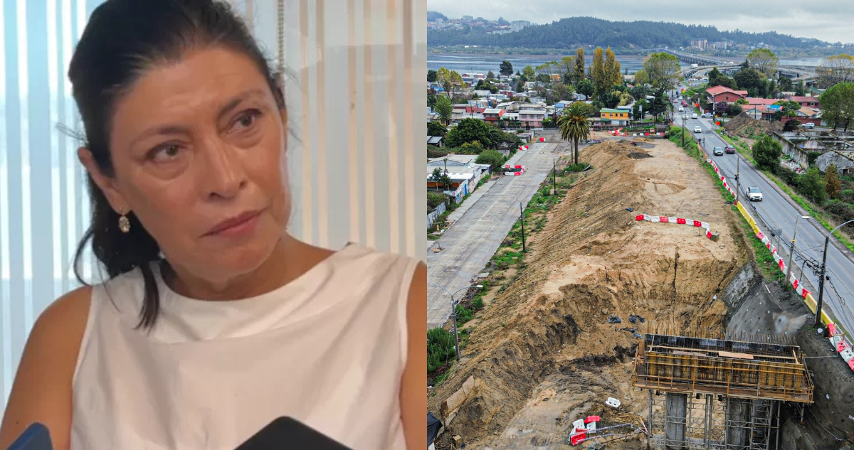 Exdirectora del Serviu en el Bío Bío sugiere dar continuidad a obras de Tapusa con licitación pública