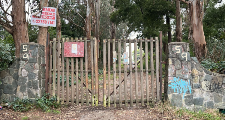 Familia de adulta mayor asesinada en Coronel pide justicia y dice que casa que cuidaba es de Luksic