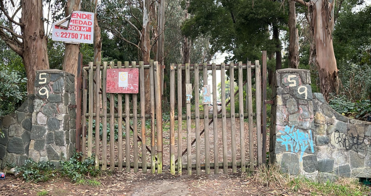Familia de adulta mayor asesinada en Coronel pide justicia y dice que casa que cuidaba es de Luksic