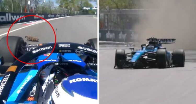Alex Albon se estrelló en la Fórmula 1 tras atropellar una marmota.