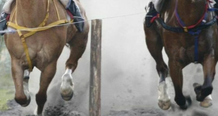 Hombre queda grave tras brutal riña durante carreras a la chilena en Negrete