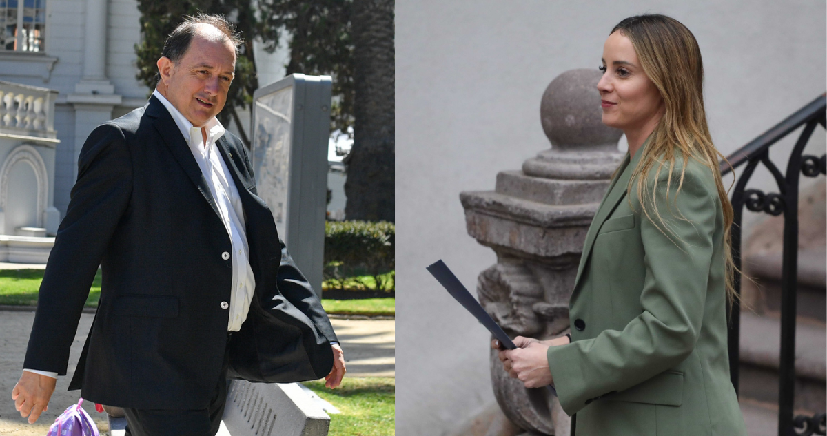 Sedini responde por incomodidad generada por Poduje: “Cada ministro tiene su estilo y todo suma”