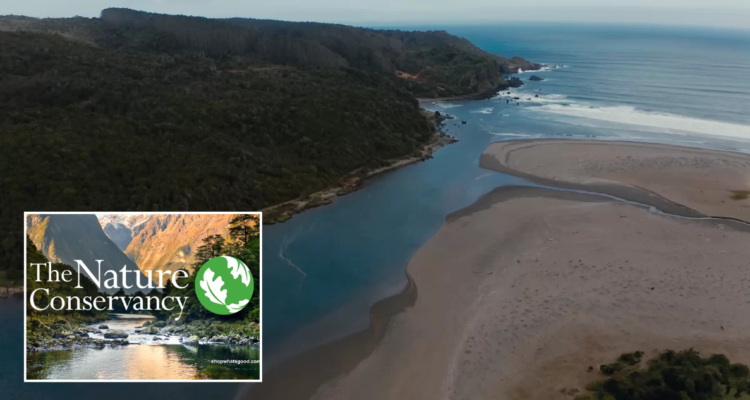 Dueños de la Reserva Costera Valdiviana mantienen impaga patente municipal y adeudan $120 millones
