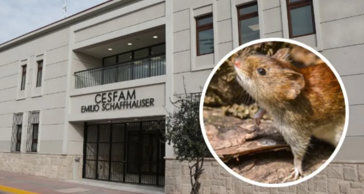 Descartan sospecha de hantavirus en Cesfam de La Serena tras activación de protocolo