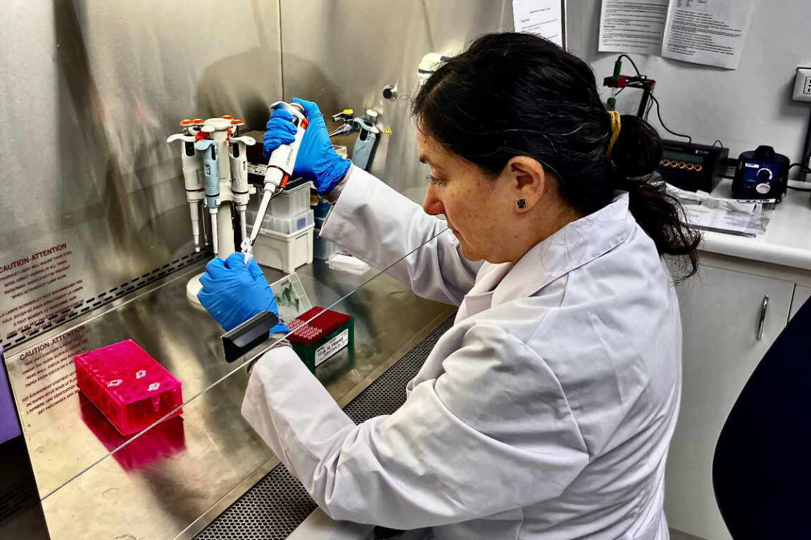 La Dra. Barría trabajando en el laboratorio