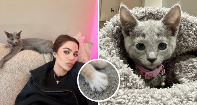 Khloe Kardashian junto a sus gatas Grey Kitty y Baby Kitty en referencia a la amputación de sus garras.