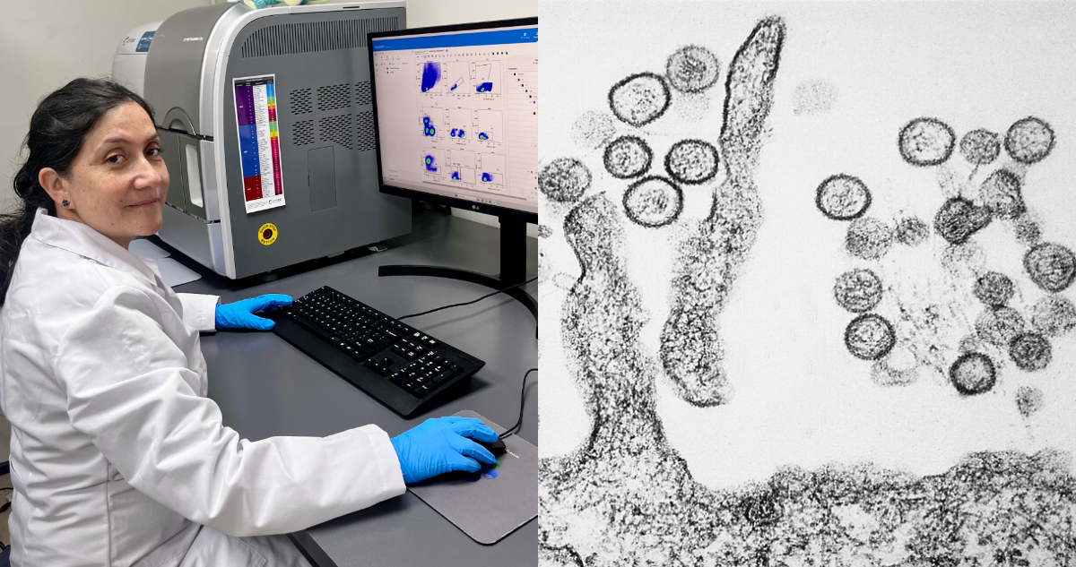 Foto de la Dra. María Inés Barría, que desarrolla la vacuna para el hantavirus