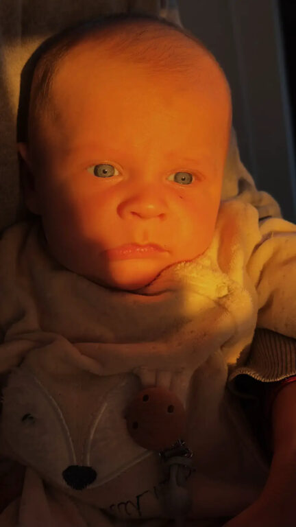 José Pedro, hijo de Pedro e Ignacia Lladser
