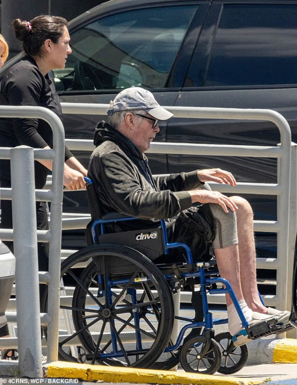 David Hasselhoff en silla de ruedas