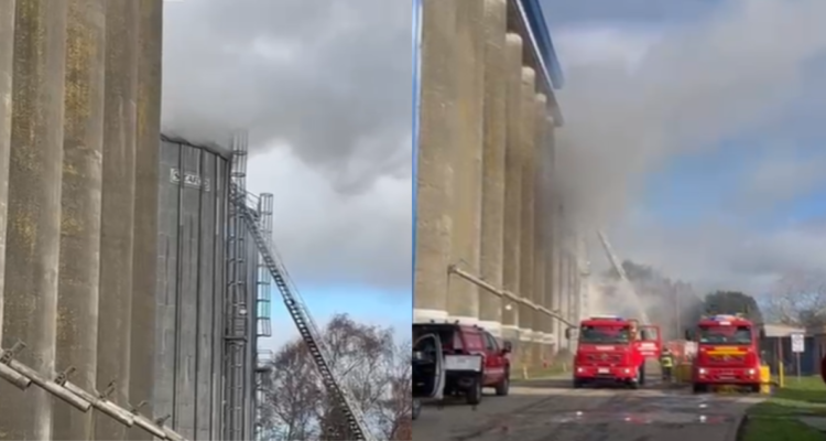 Incendio afecta interior de silo con alimento para animales en sector Corte Alto de Purranque