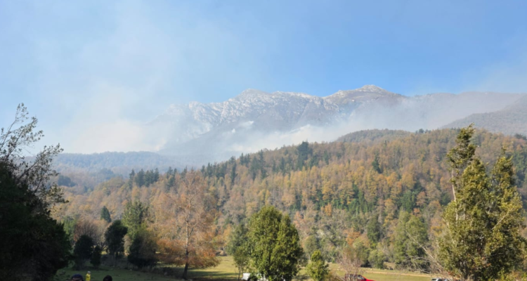 Incendio forestal afecta al sector cordillerano de Quillaileo en Santa Bárbara