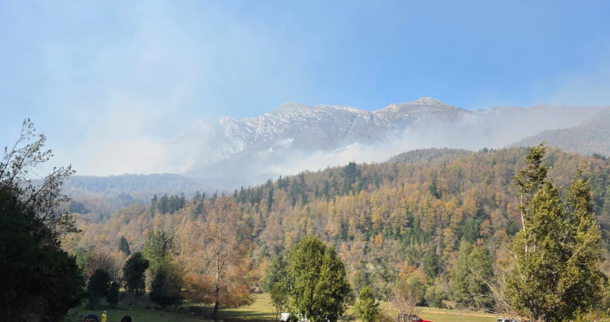 Incendio forestal afecta al sector cordillerano de Quillaileo en Santa Bárbara