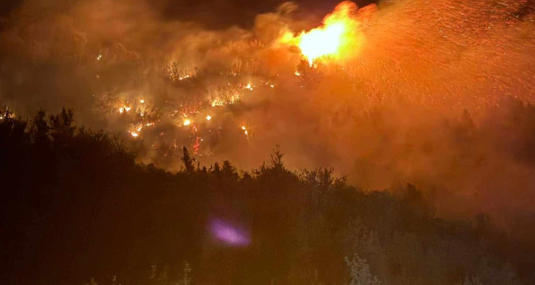 Incendio forestal en Cochamó amenaza a 12 viviendas y moviliza a Bomberos en sector Llaguepe