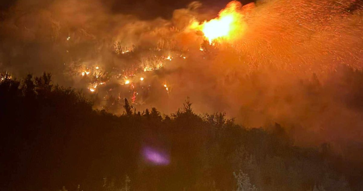 Incendio forestal en Cochamó amenaza a 12 viviendas y moviliza a Bomberos en sector Llaguepe