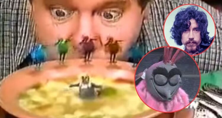 ¿Nos engañaron? La verdadera versión brasileña de “La mosca” de Cachureos y que se trata de dictadura