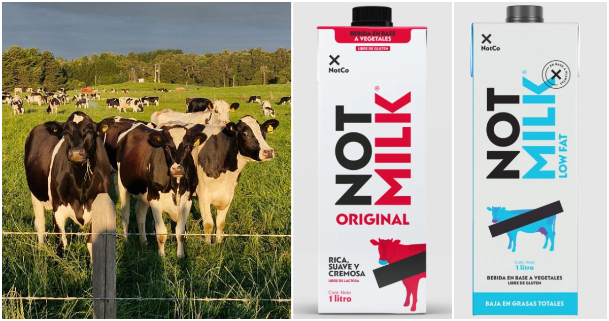 Pelea entre lecheros y NotCo llega a su fin: Estos son los ajustes que deberán hacerle a la NotMilk